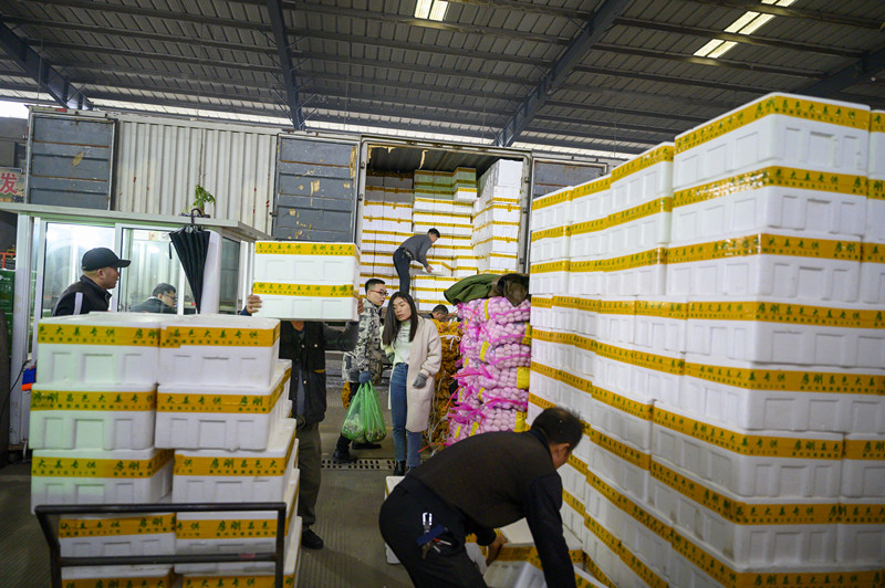 1580431423363533.jpg 1580431423363533.jpg