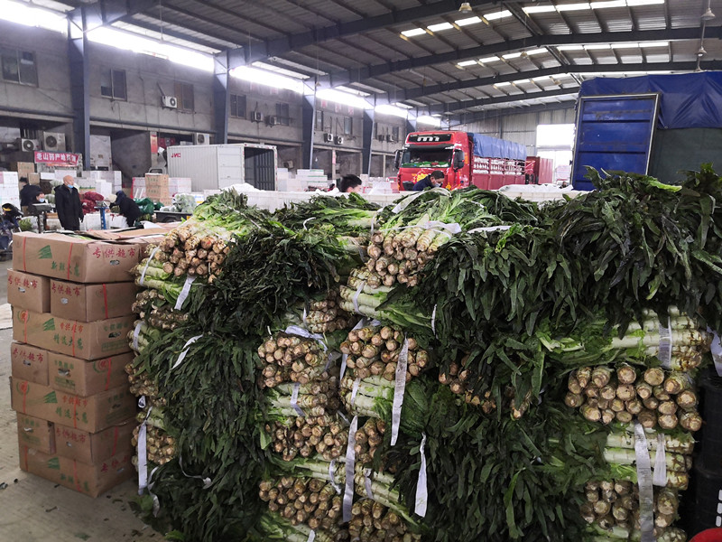 1580431926161684.jpg 1580431926161684.jpg