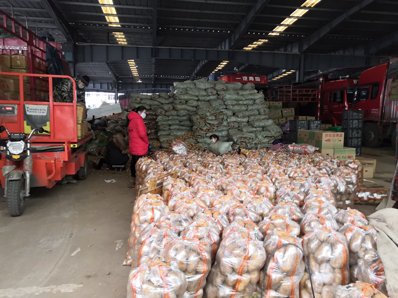 1580431926291763.jpg 1580431926291763.jpg