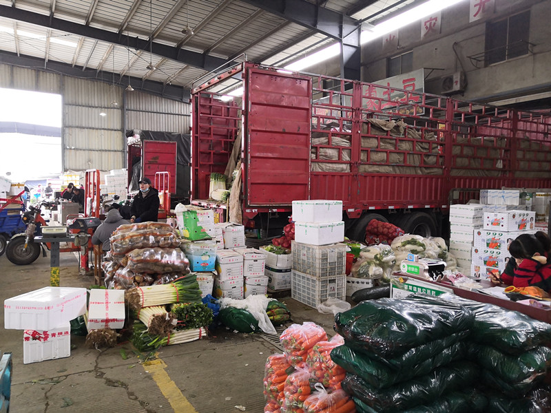 1580432066663405.jpg 1580432066663405.jpg